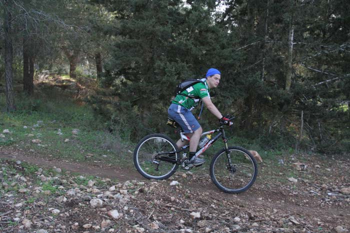 velotiul 003